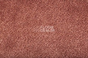 Ковролин Condor Masquerade Elegance Elegance 25 фото 1 | FLOORDEALER